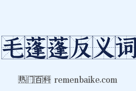 毛蓬蓬反义词是什么意思的图片